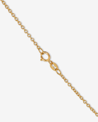 Rolo Chain Necklace in 14k Rose Gold